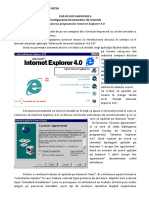 Ip1 - M8 - FD 6 - Configurarea Unui Browser de Internet