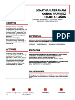 CV #2 PDF
