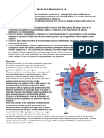 Sistema Cardiaco