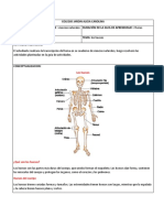 Guia de Actividades Ciencias Naturales Grado 2