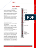 Subsurface Flow Control Systems