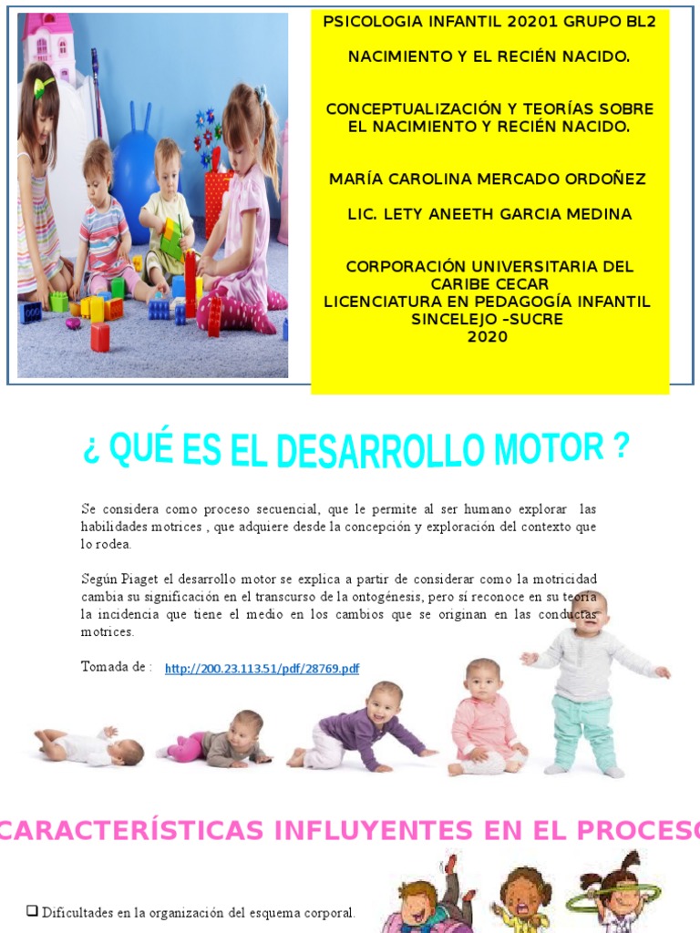 Desarrollo Motor en Infantes: Teorías y Etapas | PDF | Ciencia ...