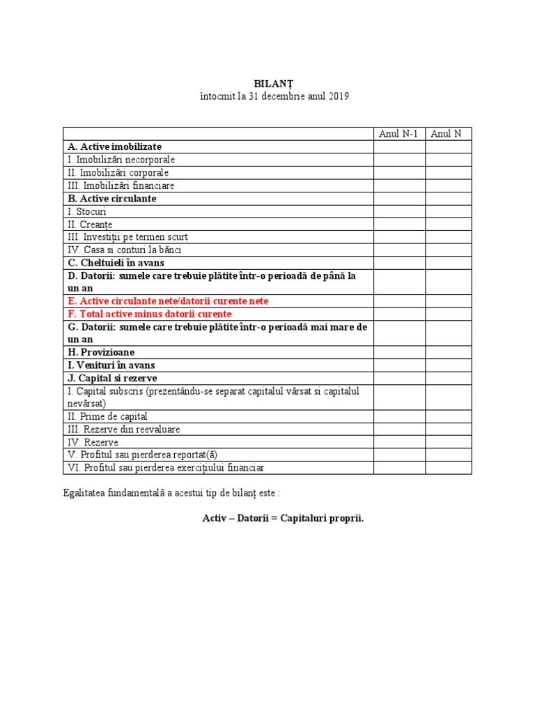 Bilant Si CPP | PDF