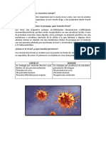 Cómo ingresa el virus a nuestro cuerpo