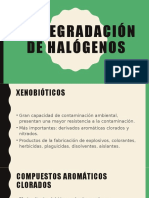 Degradación de halógenos xenobióticos y HAP