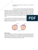 Segementación y primeros estadios del desarrollo.pdf