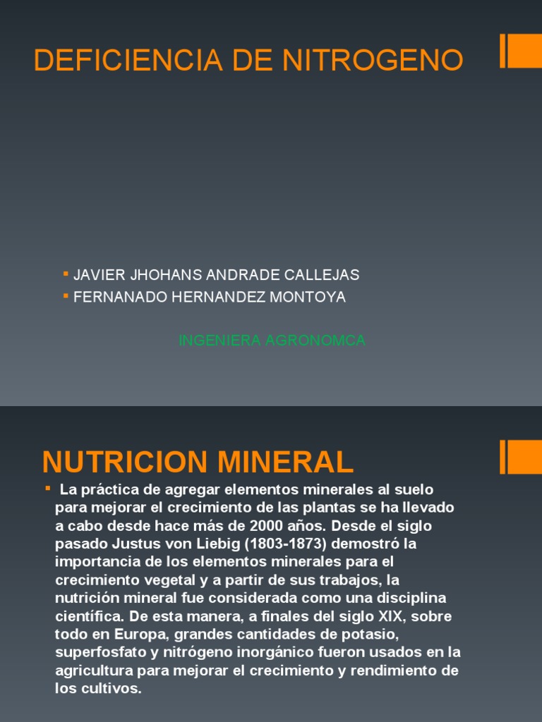 Deficiencia de Nitrogeno PDF Nitrógeno Plantas