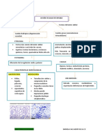 Lesion Celular Reversible Tarea