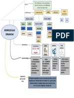 Mapa Mental Biomoleculas