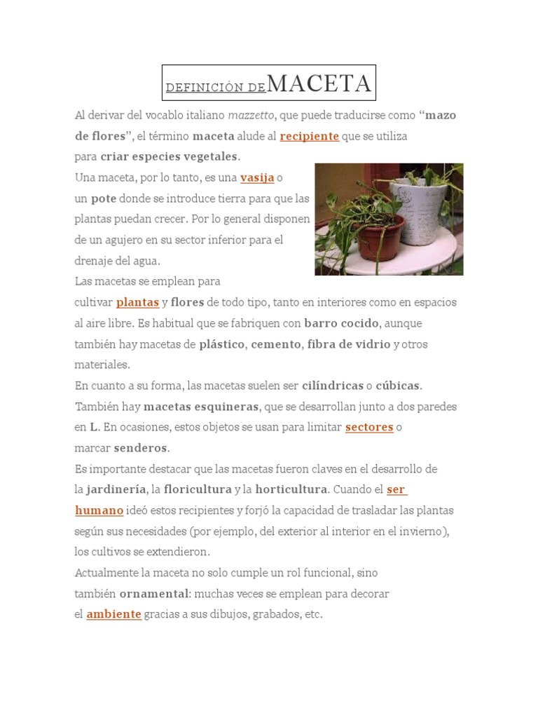 Definición y uso de la maceta | PDF | Hogar, jardinería y bricolaje