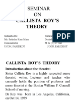 Callista Roy's Theory