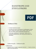 Methanotroph Metilotroph
