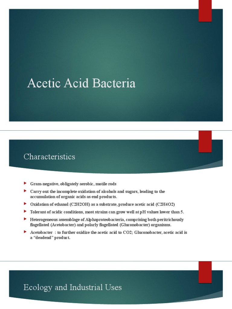 Acetic Acid Bacteria PDF