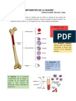 Componentes de La Sangre