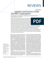 The Regulation and Functions of DNA and RNA G-Quadruplexes