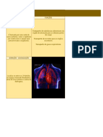 UC4 - Sistemas - Circulatório - Respiratório - Excretor e Urinário