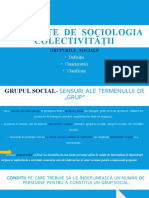 ELEMENTE  DE  SOCIOLOGIA COLECTIVITĂȚII.pptx