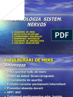 13. SIST.NERVOS.ppt