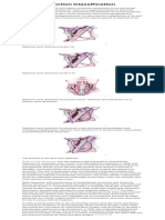 Neck Dissection Classification: Cancers