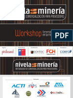 Workshop Phibrand Comercializacion en La Mineria PDF