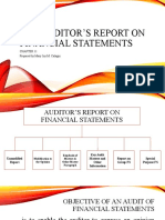 The Auditor's Report On Financial Statements