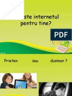 Pericolele Internetului