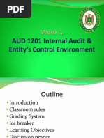 Week1 AUD1201-IA & Entitys Cntrl Environment