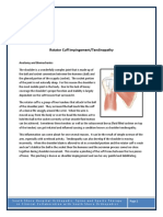 Rotator Cuff Impingement PDF