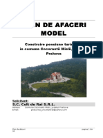 Plan de Afaceri Pensiune COLT de RAI PDF