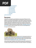 How Elephants Communicate