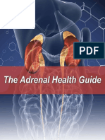 AdrenalHealthGuide 9 14 16 v2 PDF