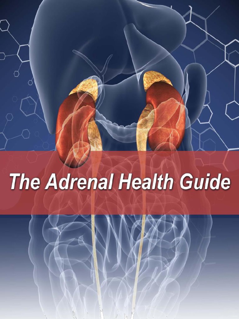 AdrenalHealthGuide 9 14 16 v2 PDF | PDF | Adrenal Gland | Cortisol