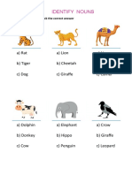 Identify Nouns: A) Rat A) Lion A) Lion B) Tiger B) Cheetah B) Cat C) Dog C) Giraffe C) Camel
