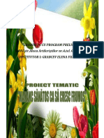 0 Proiect Sanatate III Mena