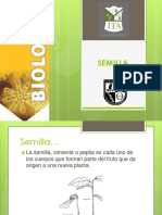 4 Semilla 4.pdf