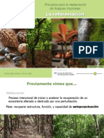 a.calle.reforestacion.pdf