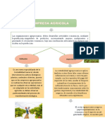 Definicion Empresa Agricola