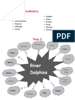 River Dolphins: Vocabulary