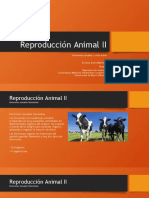 Reproducción Animal II.pptx