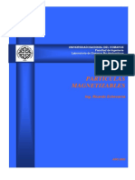 Libro partículas magnéticas.pdf