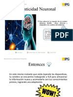 Plasticida y Poda Neuronal