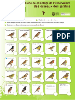 fiche comptage oiseaux.pdf