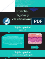 EPITELIO - Tejidos y Clasificaciones