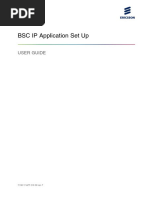 BSC IP Application Set Up: User Guide