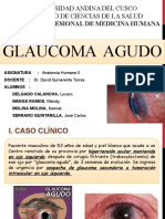 Glaucoma agudo y papila óptica