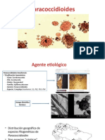 06 Paracoccidioidomicosis