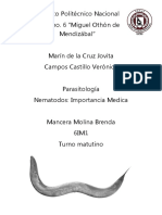 Nematodos trabajo.docx