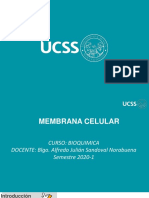 Membrana Celular PDF