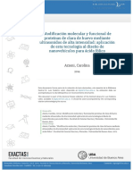 tesis_n5480_Arzeni.pdf