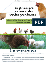 Premiers Pas Avec Vos Poules Pondeuses PDF